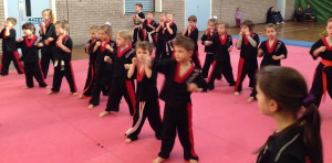 Kingswinford Kids 4-6 years Karate/Kickboxing