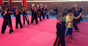 Kingswinford School of Black Belts Ninjas 4-6 years