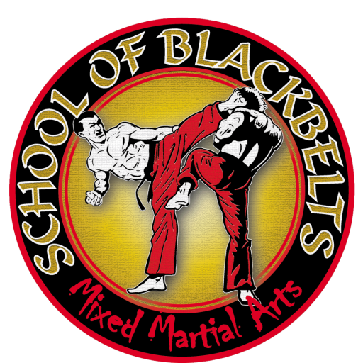 The School of Black Belts students are back!