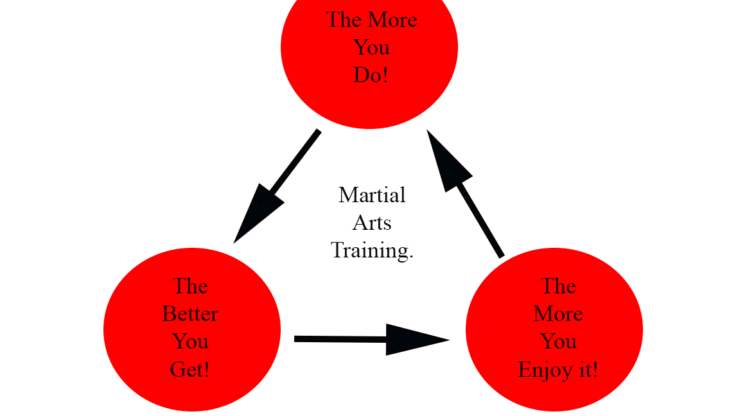 My Quest to Increase Your training in Martial Arts.