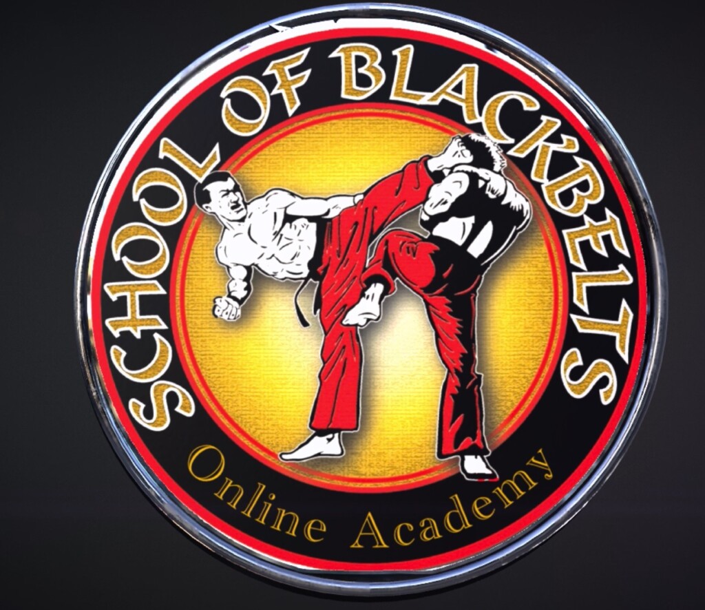 martial arts academy online